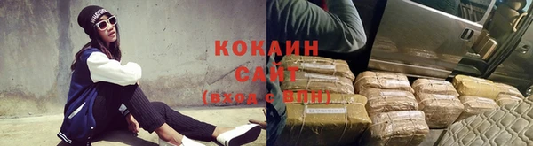 стафф Киров