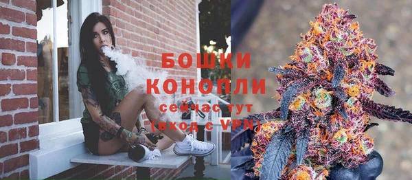 стафф Киров