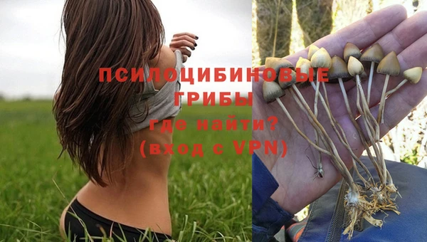 стафф Киров