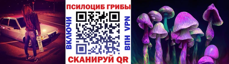 Галлюциногенные грибы Cubensis  Купить закладки  Томмот 